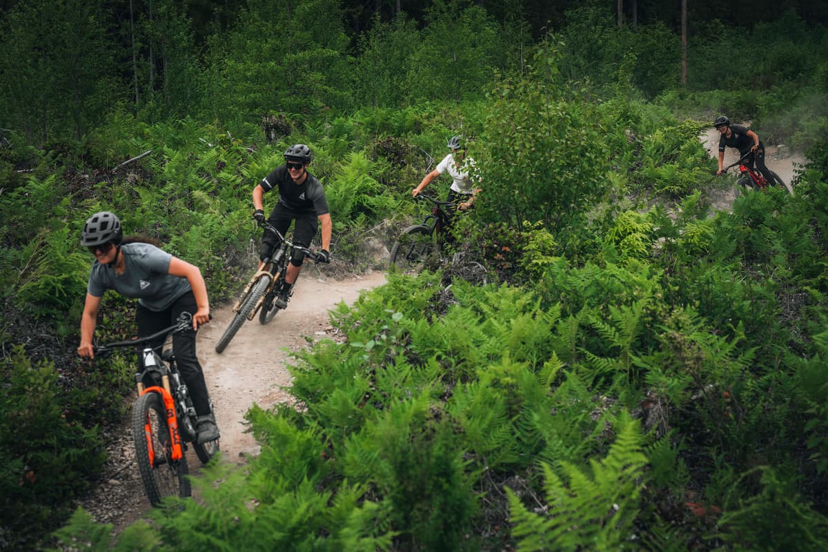 Guided Biking Experiences in Squamish Trails